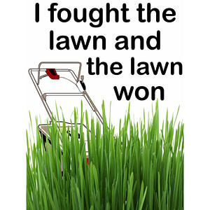 I Fought the Lawn